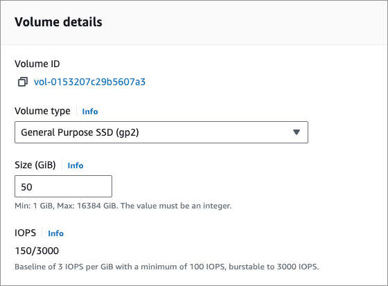 Screenshot of the EBS Volume Details page